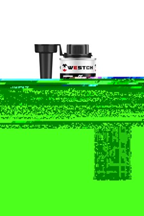 Dizel Yakıt Sist.ve Enjek.tem.300ml