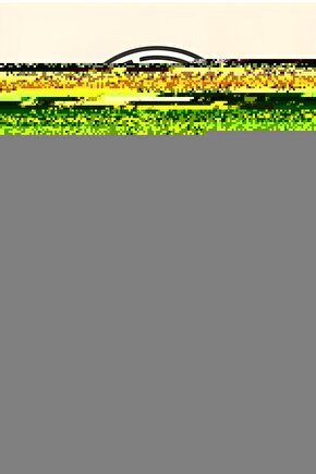 Feyza Kadın Siyah Şişme Mont