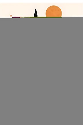 Respiaid P2 Taşınabilir Oksijen Konsantratörü