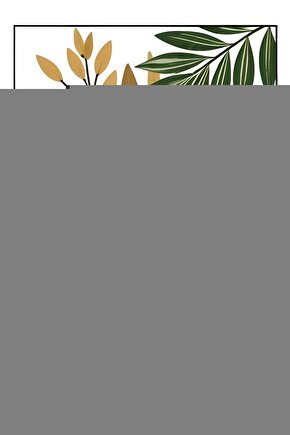 Momento Plus Profesyonel Mat Plastik Iç Cephe Boyası 7.5lt (atlas)