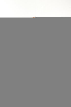 Fawori Silikonlu Ipek Iç Cephe Boyası 2,5 Lt