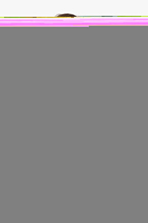 Momento Plus Iç Cephe Plastik Boya 2,5 Lt. Bademi