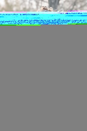 Airsense 10 Elite Cpap Nemlendirici Mirage Fx Maske