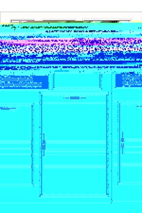 Nessiworld Polis Yol Seti