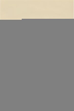 332 Mikro Giydirme Koltuk Örtüsü(VİZON)