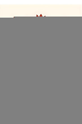 Düz Makine Plaka  B26