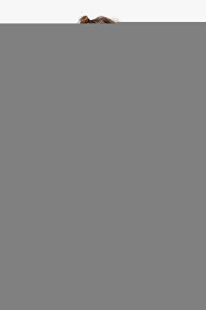 Matisse - Boho - Art Deco - Soyut - Doğa ( 3 lü Çerçevesiz ) Poster - Afiş - Tablo KR2C00709