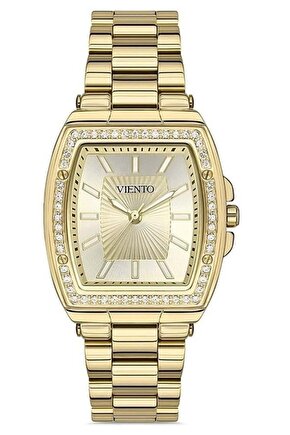 Vtn014162ag Kadın Kol Saati