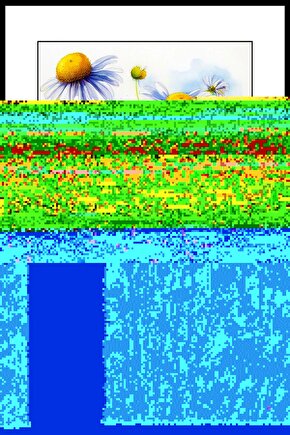 Bahçemdeki Papatyalar Digital Art ( ÇERÇEVESİZ - ÇERÇEVE YOKTUR ) ( ULTRA HD ) FOLYO AFİŞ - POSTER