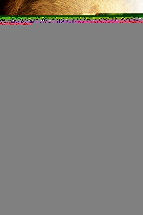 Jedi 010 32GB 10 Tablet Uyumlu Şarjlı Touchpadli Yuvarlak Tuş RGB Bluetooth Klavye