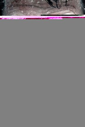 Lenovo Tab M10 Plus TB-X606F 10.3Standlı Tablet Kılıfı+ Kırılmaz Ekran Koruyucu+Dokunmatik Kalem