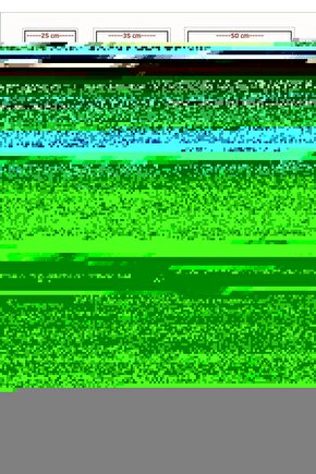 T7 Always On Track Jacket Kadın Ceket