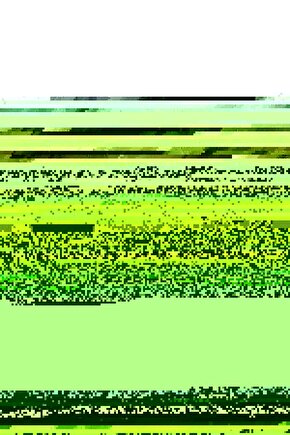 The Devil Inside (2012) 2 AFİŞ - POSTER ( FOLYO ) - AFİŞ - POSTER-6780