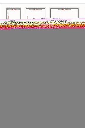 Beyaz Deri Kadın Ayakkabı