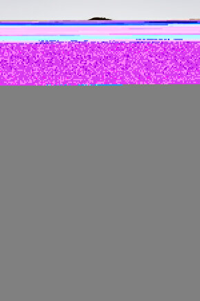 Showgirls (1995) 1 AFİŞ - POSTER ( FOLYO ) - AFİŞ - POSTER-5722