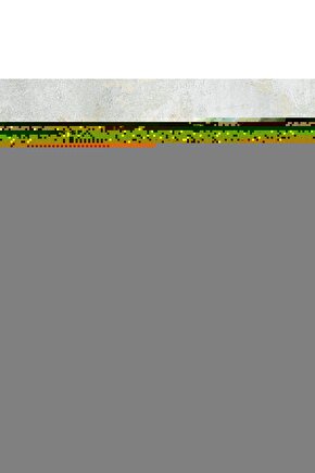 Orman Temalı Duvar Dekoru