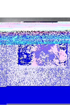 Kabarcıklara Bakan Turuncu Kedi Cam Tablo