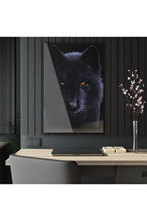 Siyah Kurt Cam Tablo Duvar Dekoru