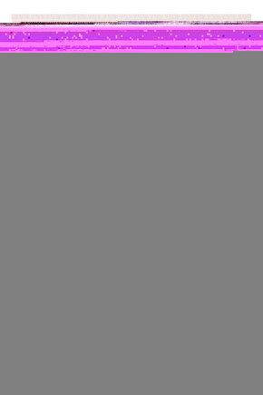 Chicken Run (2000) 2 ( FOLYO ) - AFİŞ - POSTER-2117