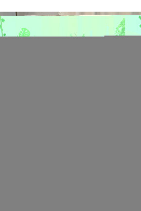 Breathless (1960) ( FOLYO ) - AFİŞ - POSTER-1900