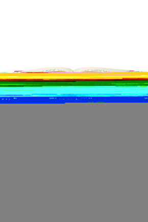 Matisse - Sanat - Soyut - Doğa - Ev - Yaşam ( 2 Li Çerçevesiz ) Poster - Afiş - Tablo NNHT825