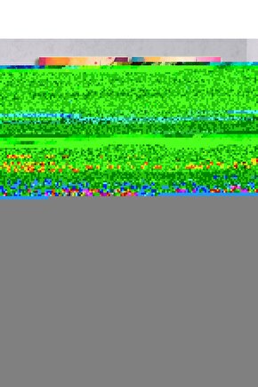 Temel Islam Ansiklopedisi (8 Cilt)  Kolektif  9786057580856