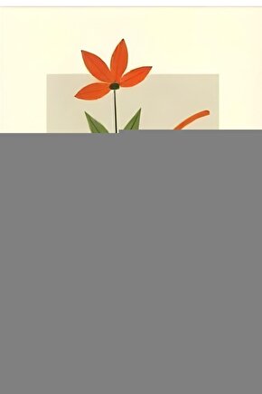 Bsrl K11 Marifetname (sadeleştirilmiş Tam Metin) - Erzurumlu Ibrahim Hakkı Hazretleri