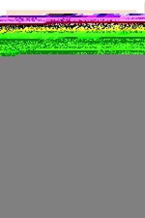 Kalın (unisex) Bel Korsesi