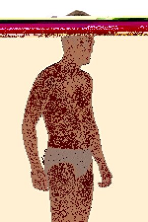 Matisse - Sanat - Soyut - Doğa - Yaşam ( Tekli Çerçevesiz ) Poster - Afiş - Tablo MKKM2119