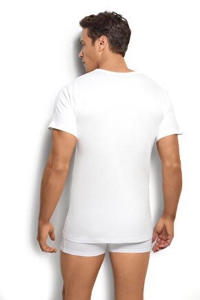 Matisse - Sanat - Soyut - Doğa - Yaşam ( Tekli Çerçevesiz ) Poster - Afiş - Tablo MKKM1946