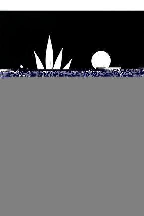 JİBER 161 ERKEK TERMAL İÇLİK ALT TEKLİ