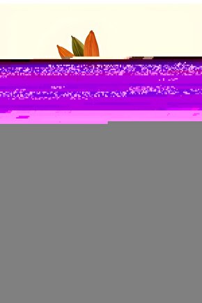 722-softsport El Bilekliği Jetsepet