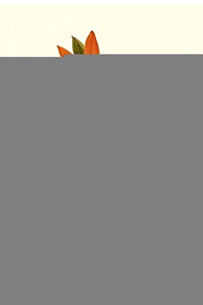 Dikenli Masaj Topu 9 CmDuyu Uyarıcı