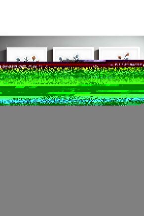 Matisse - Boho - Art Deco - Soyut - Doğa ( 3 lü Çerçevesiz ) Poster - Afiş - Tablo KR2C00248