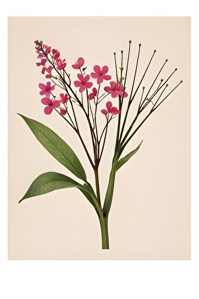 3’lü Metal Ayakkabılık (Beyaz-Yunus) | Kolay Kurulum, Dayanıklı Yapı