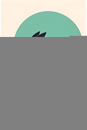 Coloplast Comfeel Plus Yara Örtüsü 15X15 cm 5 Adet