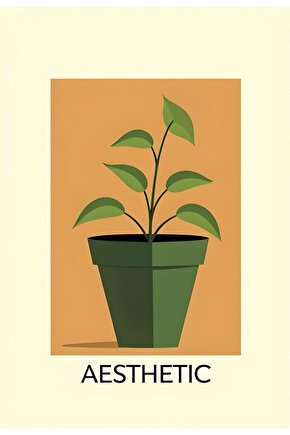 Halluks Valgus Gece Ateli Kifidis Large