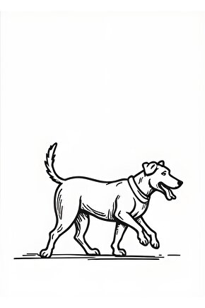 Alçı Topuğu Kauçuk