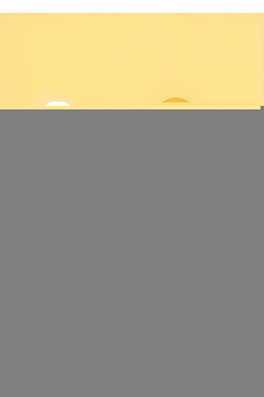 Rw2510 Walker Yürüteç