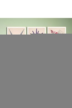 Kademeli Alüminyum Walker Ky962l