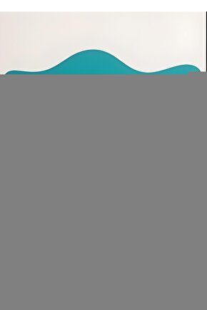 2 Motorlu Hasta Karyolası Yatağı Yatak Dahil Hastane Tipi Plastik Abs