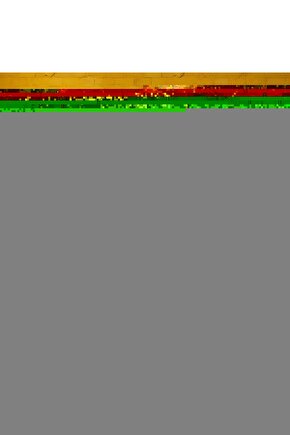 Wollex Yedek Parça 30A Termik Sigorta