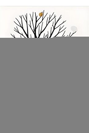 W512 Pedli Sporcu Dizlik Large