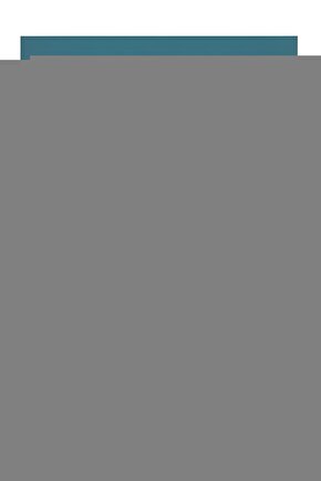 Comfort Plus Tekerlekli Pole Sedye