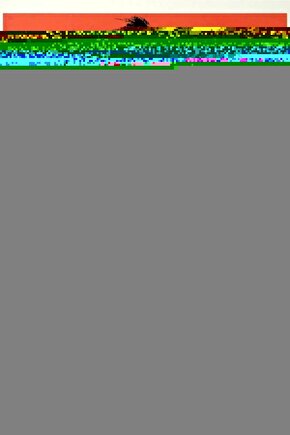 Power And Passion  Güç Ve Tutku  Dvd Yabancı Film