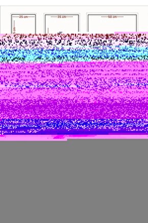 Paper Moon (1973) 002 AFİŞ - POSTER