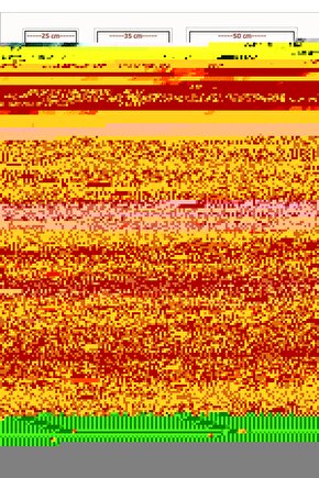 Suda Açan Çiçek Digital Art ( ÇERÇEVESİZ - ÇERÇEVE YOKTUR ) ( ULTRA HD ) FOLYO AFİŞ - POSTER