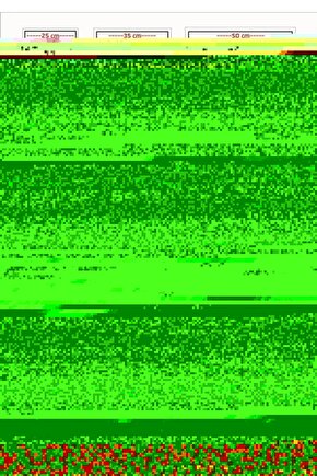 The Muppets (2011) 1 AFİŞ - POSTER ( FOLYO ) - AFİŞ - POSTER-7660