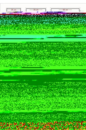 The Muppets (2011) 1 AFİŞ - POSTER ( FOLYO ) - AFİŞ - POSTER-7660