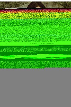 To Wong Foo, Thanks for Everything! Julie Newmar (1995) AFİŞ - POSTER ( FOLYO ) - AFİŞ - POSTER-8251